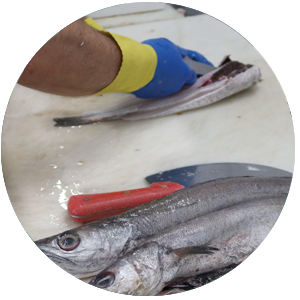 Limpieza de pescado